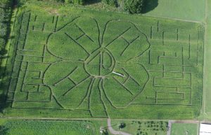 2019 Celebrating 4H Corn Maze