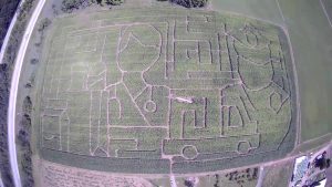 2020 Essential Workers Corn Maze