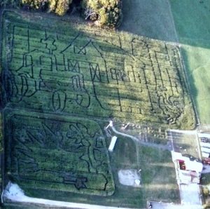 2015 Wooden Nickel Corn Mazes